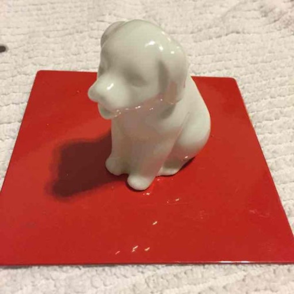 Dog milk spout